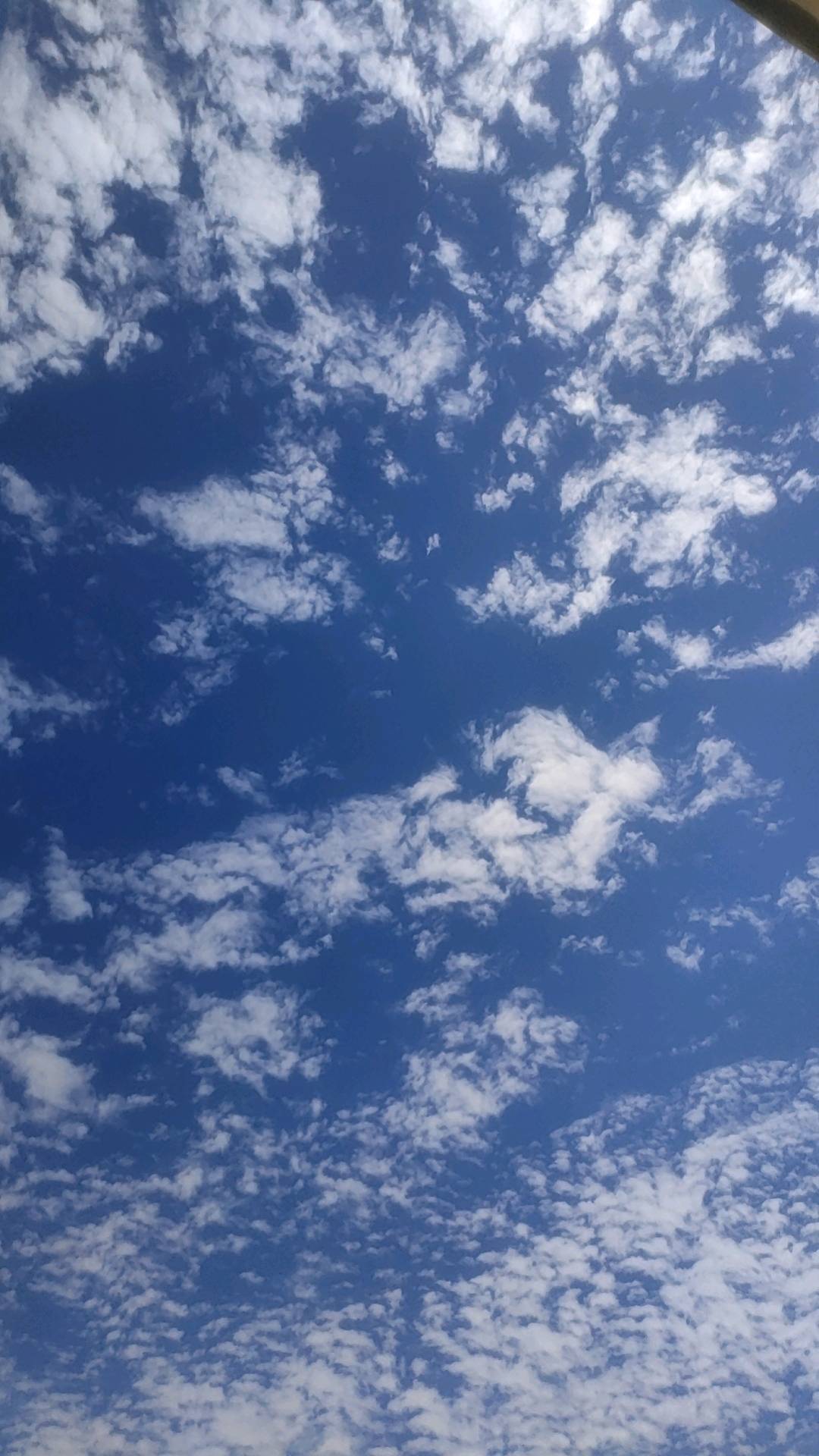 1772203136623_wx_camera_1753337341978.jpg
